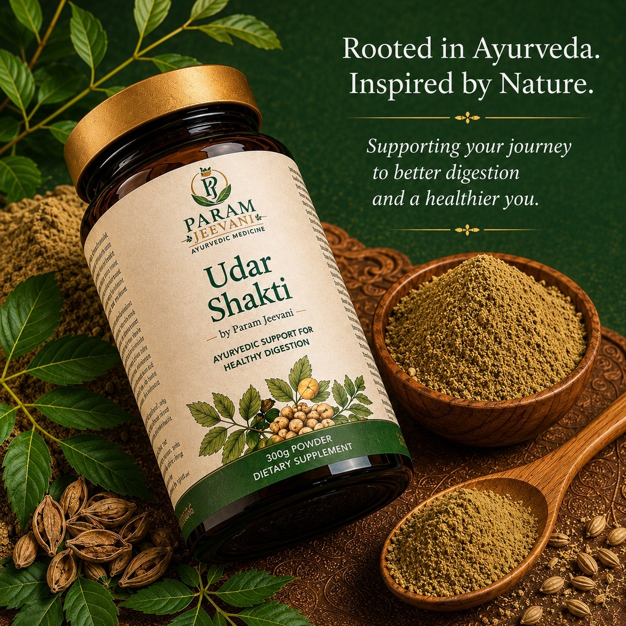 Udar Shakti by Param Jeevani (Powder & Capsule)