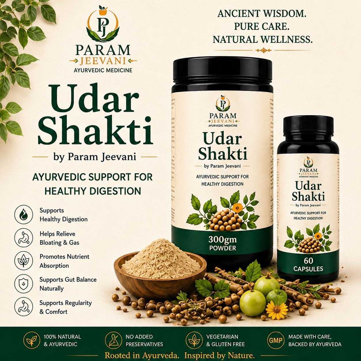 Udar Shakti by Param Jeevani (Powder & Capsule)